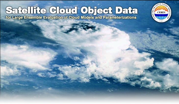 Statistical Analyses of Satellite Cloud Object Data for Large Ensemble Evaluation of Cloud Models
